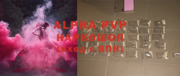 стаф Володарск