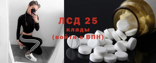 стаф Володарск