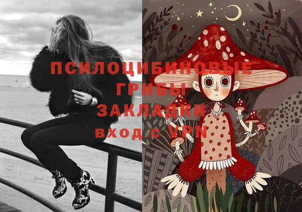 стаф Володарск