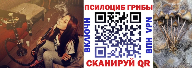 Псилоцибиновые грибы Cubensis  Губаха 